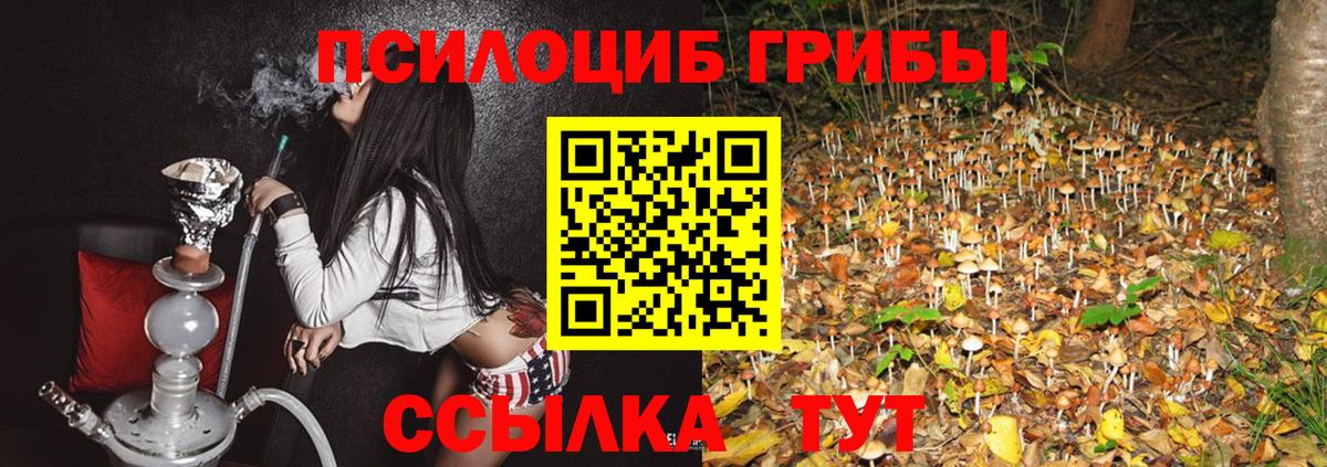 Галлюциногенные грибы мухоморы Тельмана