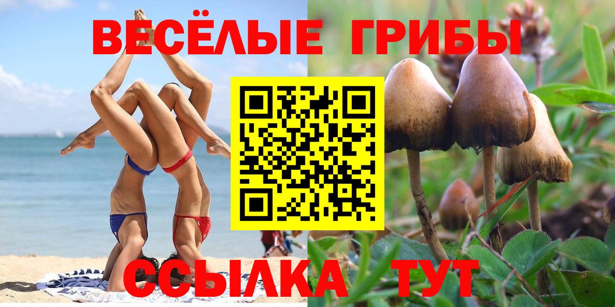 Тельмана  Галлюциногенные грибы Psilocybine cubensis  Галлюциногенные грибы Magic Shrooms  Вход с VPN 