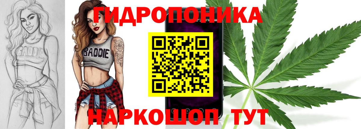 Каннабис план Тельмана